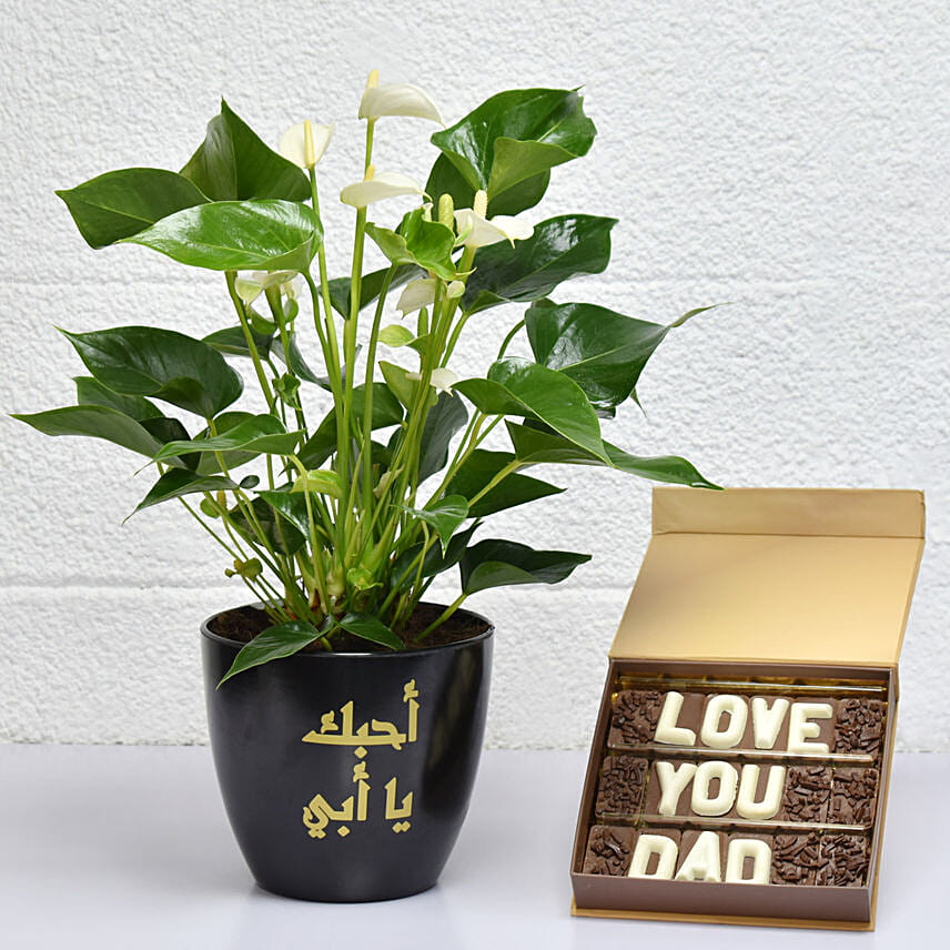 Love you Dad Anthurium Plant and Chocolates