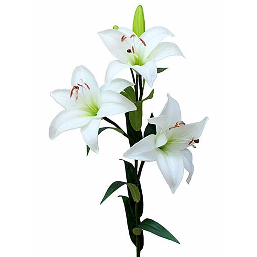 Online Artificial White Lily Stems Gift Delivery in UAE Ferns N Petals